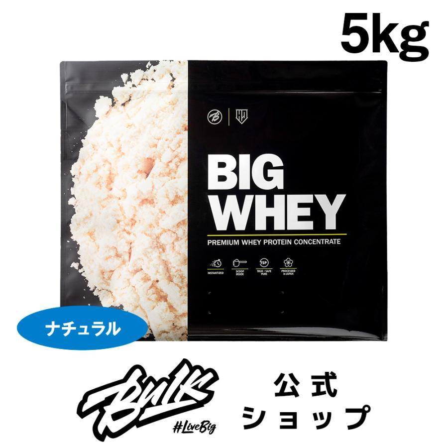 プロテイン 5kg 無添加 人工甘味料不使用 ビッグホエイ ナチュラル WPC