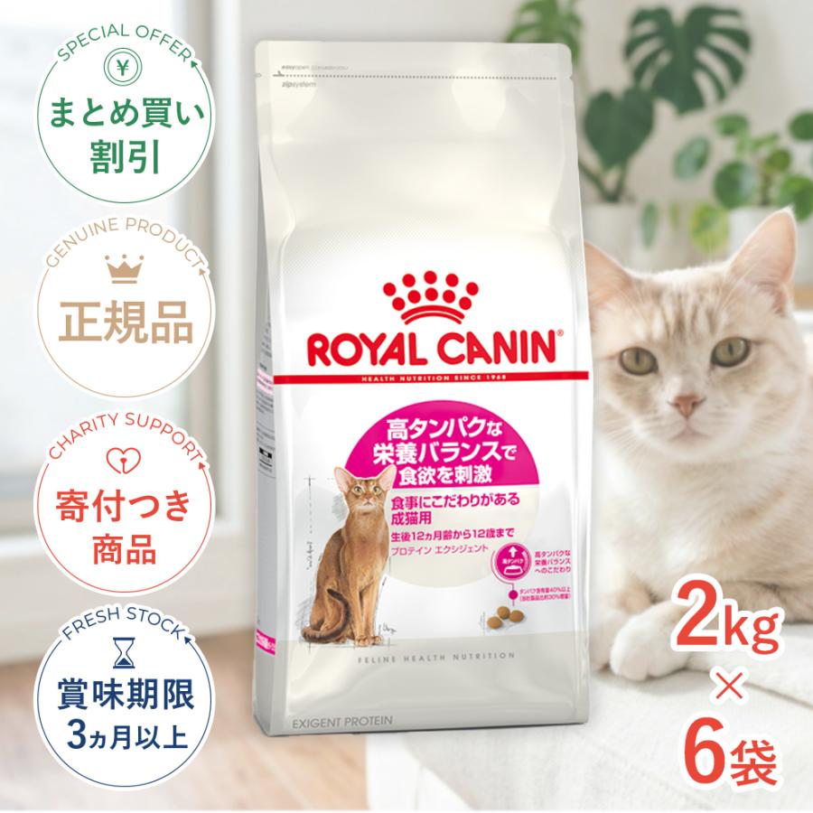 【お得な6個セット】ロイヤルカナン プロテイン エクシジェント 2kg / 食事にこだわりがある成猫用（生後12ヵ月齢から12歳まで） / ジッパー有り