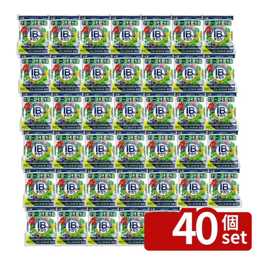 【40個セット】花ごころ IBのチカラグリーンそだちEX 500g 肥料 [4977445053907]