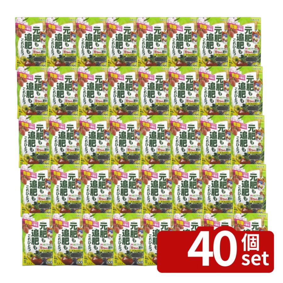 【40個セット】花ごころ 花ちゃん肥料オールインワン 500g [4977445254007]