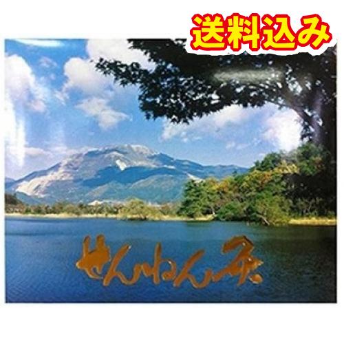 せんねん灸　伊吹　業務用　2000点入※取り寄せ商品　返品不可