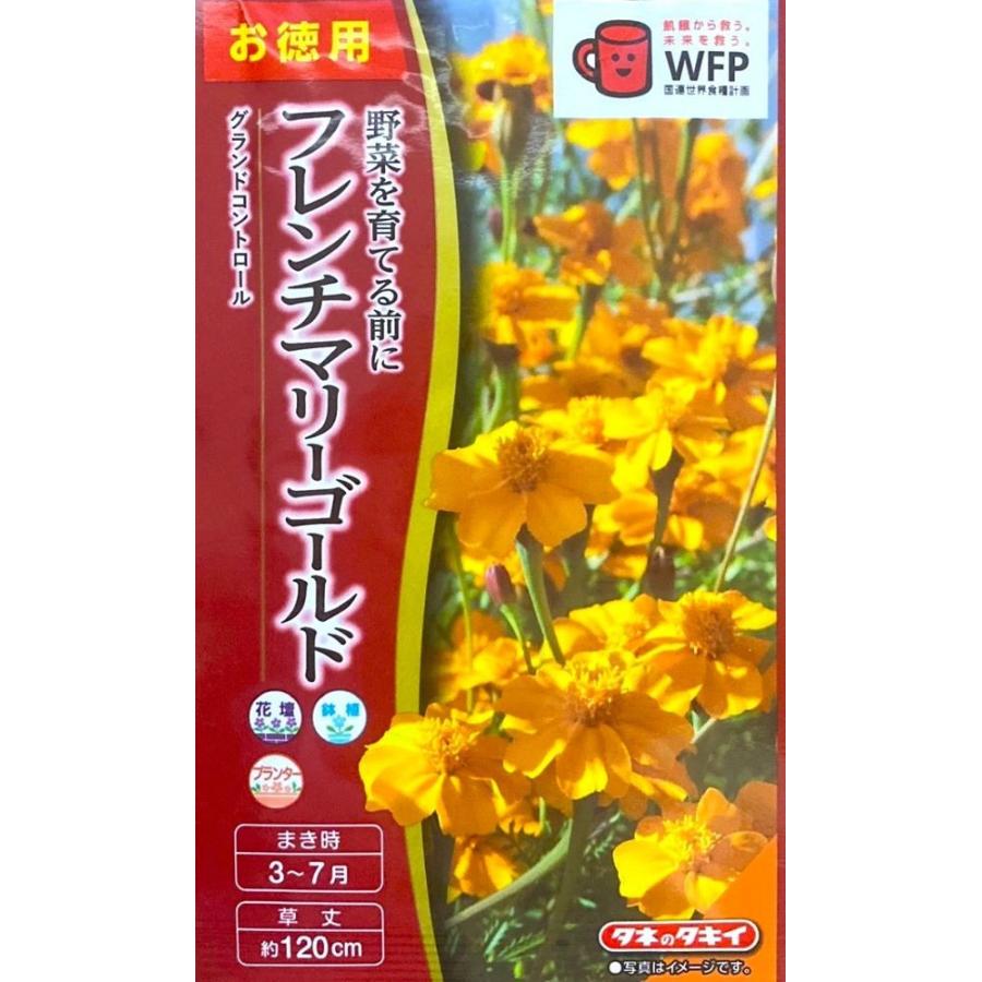 【お徳用】花種子 フレンチマリーゴールド「グランドコントロール」 20ml（タキイ種苗）【送料込み】紅黄草 孔雀草 万寿菊 緑肥 土壌改良 センチュウ駆除 FKJA00