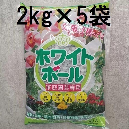 (徳用5個セット) ホワイトボール 2kg 玉ごえ 玉肥 観葉植物に プランターに　(zs4)