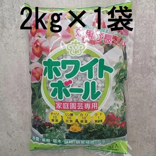 ホワイトボール 2kg 玉ごえ 玉肥 観葉植物に プランターに (レターパックor佐川等)　(zs4)