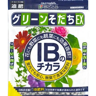 メール便送料無料【花ごころ】グリーン育ちEX　粒状500g【IB肥料】